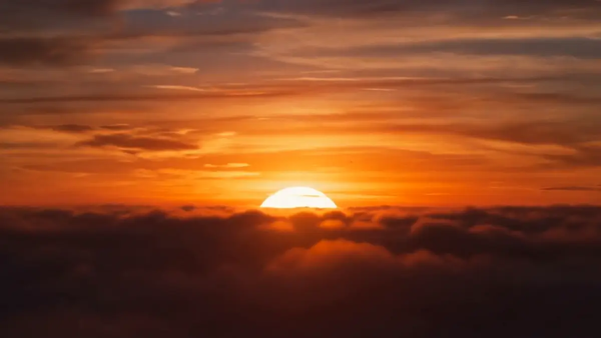 cinematic macro & close-up