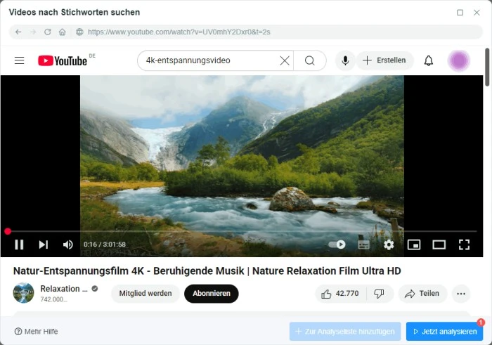 Video zur Analyseliste hinzufügen