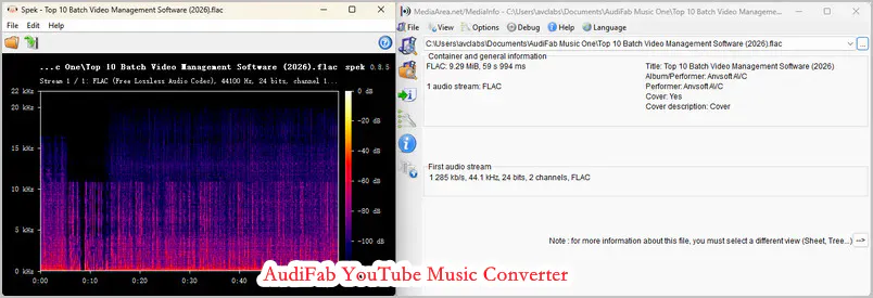 audifab youtube to flac