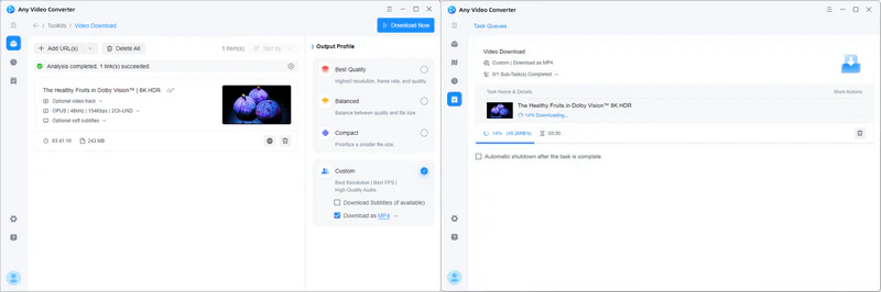 parse and download youtube video